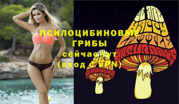гашишное масло Аркадак