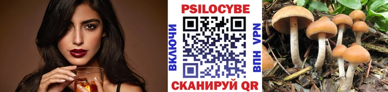 OMG сайт  Мураши  Галлюциногенные грибы Magic Shrooms 